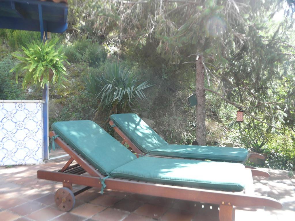 Hostal l´Ou de Reig Montseny Exterior foto